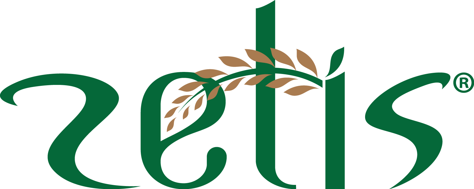 site-logo-dark